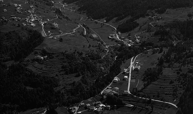 Bedollo 1971