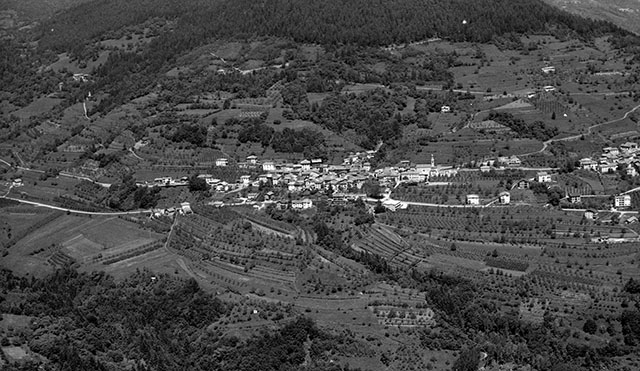 Bosentino 1971