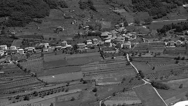 Canzolino 1971