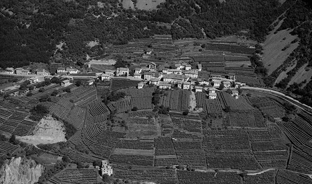 Ceola 1971