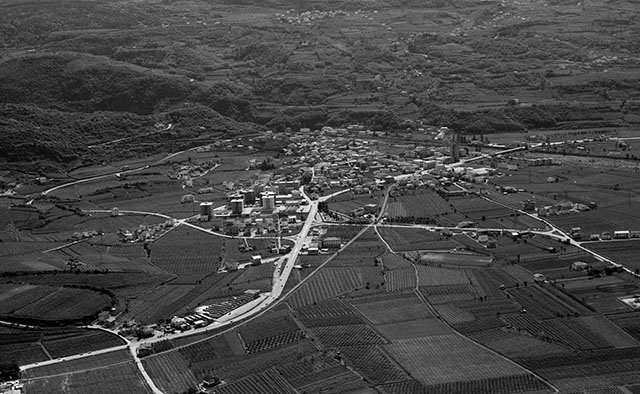 Lavis 1971
