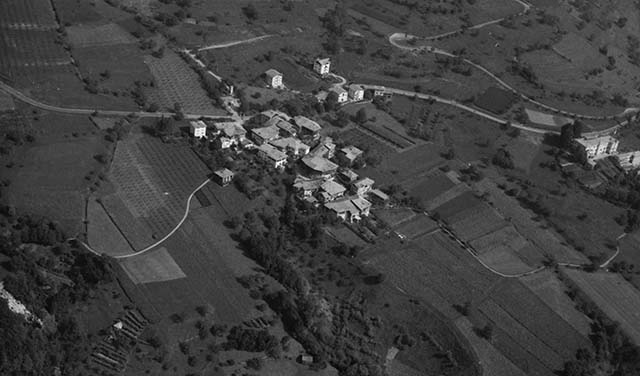 Madice 1971