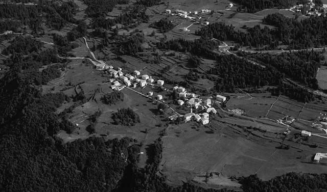 Nosellari 1971