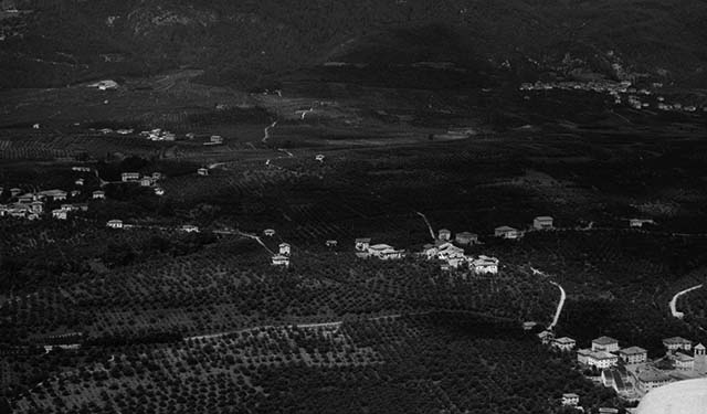 Sanzenone 1971